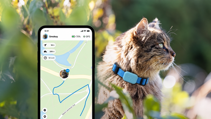 Smart GPS Cat Collar — Live Tracking, No Fees