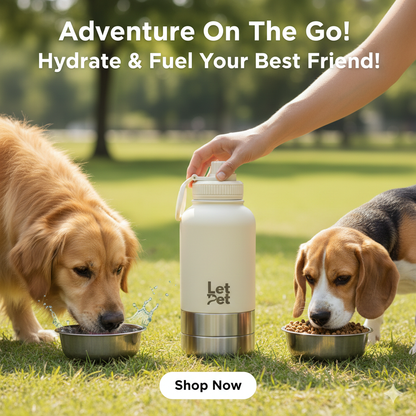 Customisable 3-in-1 Dog Bottle | Water For You & Your Dog