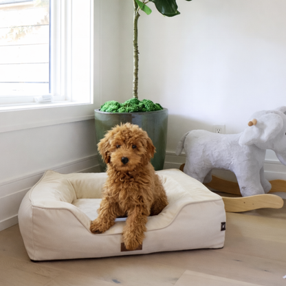 Premium Orthopedic Bolstered Dog Bed – Ultra-Comfort Support