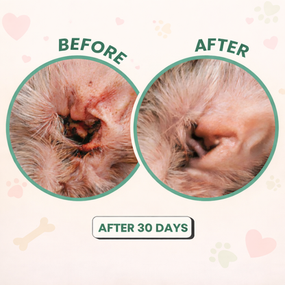 Dog Ear Cleaner Drops — Wax & Odor Relief