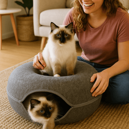 Snootkin Cozy Cove Bed