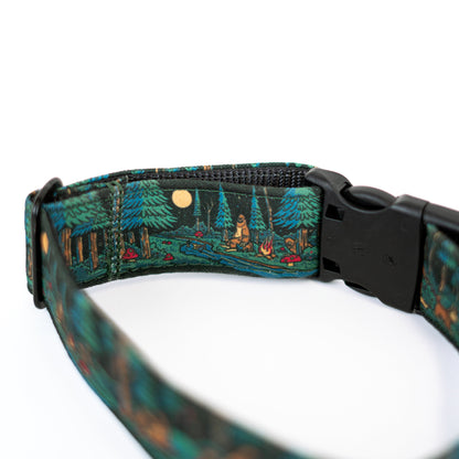 Adventure Dog Collar — Durable, Locking Buckle