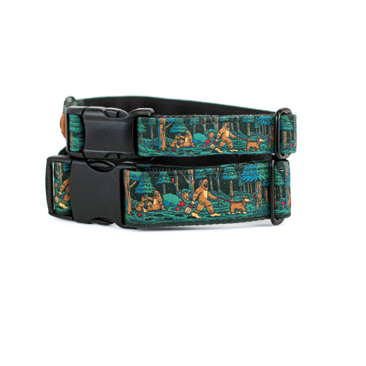 Adventure Dog Collar — Durable, Locking Buckle