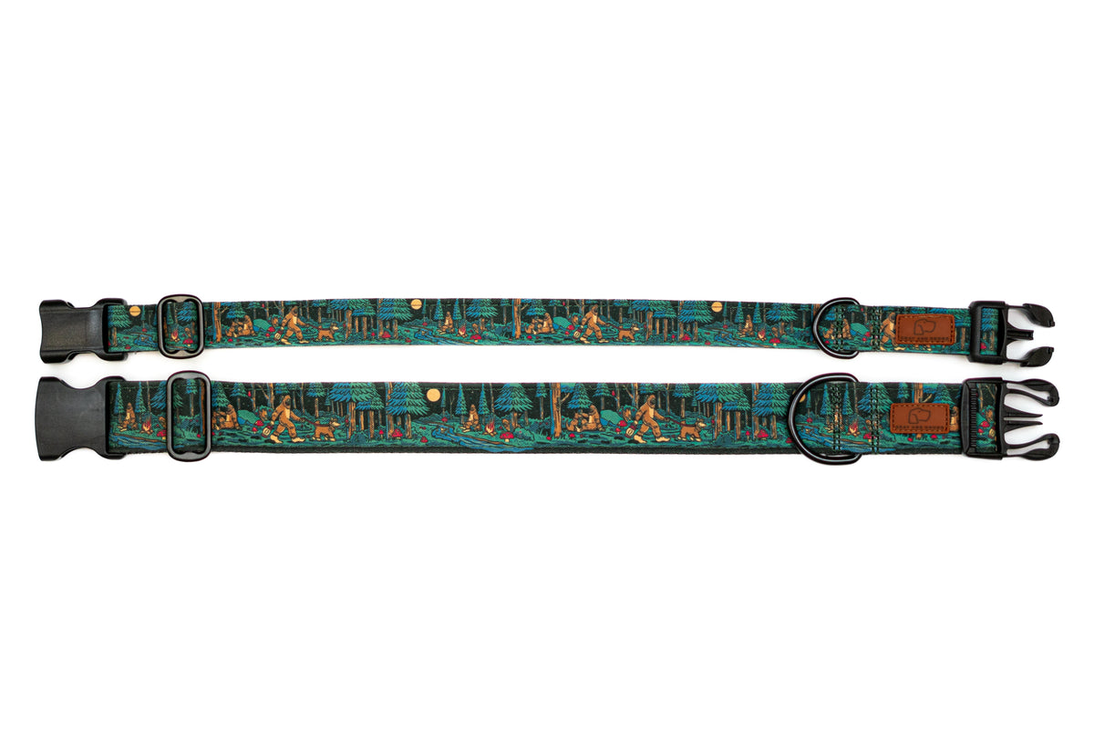 Adventure Dog Collar — Durable, Locking Buckle