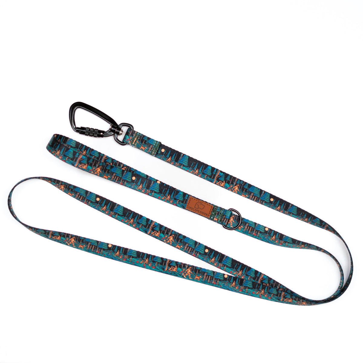 Adventure Dog Leash — Locking Carabiner Clip