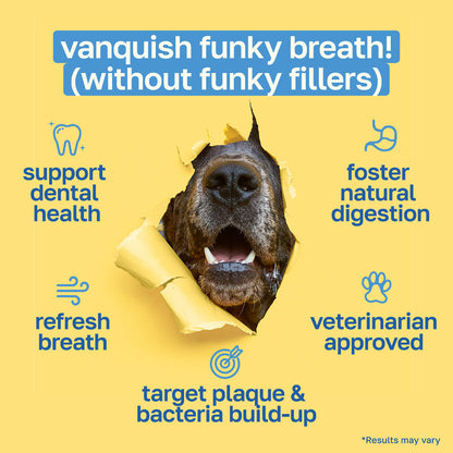 Dental Chews for Dogs — Fresh Breath & Plaque