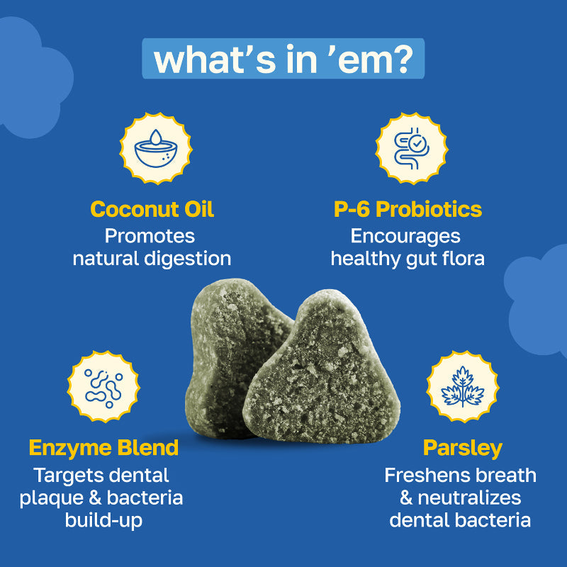 Dental Chews for Dogs — Fresh Breath & Plaque