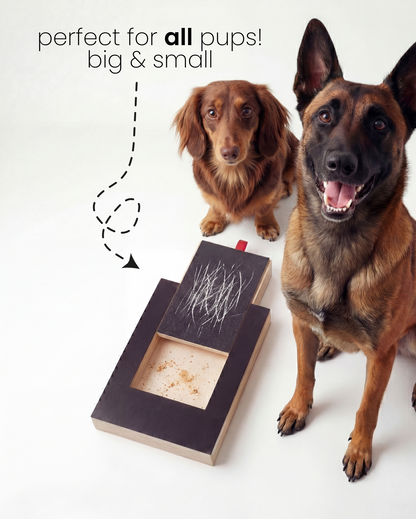 Dog Nail Scratch Board — No-Trim Filing
