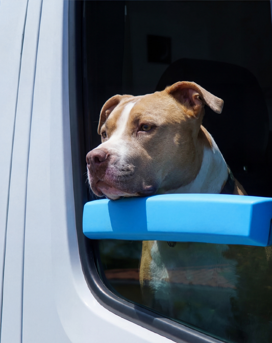 Dog Car Window Pillow — Safe Ride Armrest