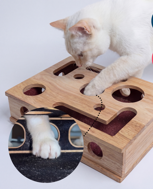 Cat Claw Filing Box — Play & Trim in One