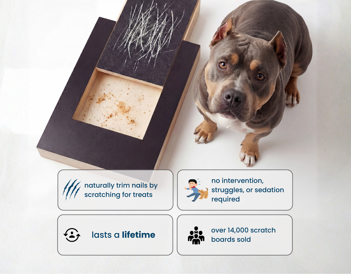 Dog Nail Scratch Board — No-Trim Filing