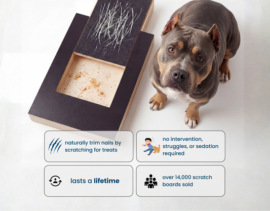 Dog Nail Scratch Board — No-Trim Filing