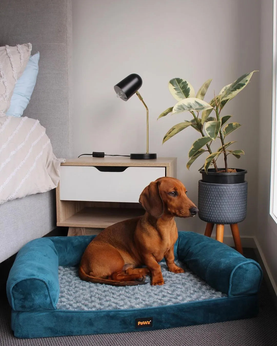 Pet Sofa Bed