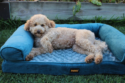 Pet Sofa Bed