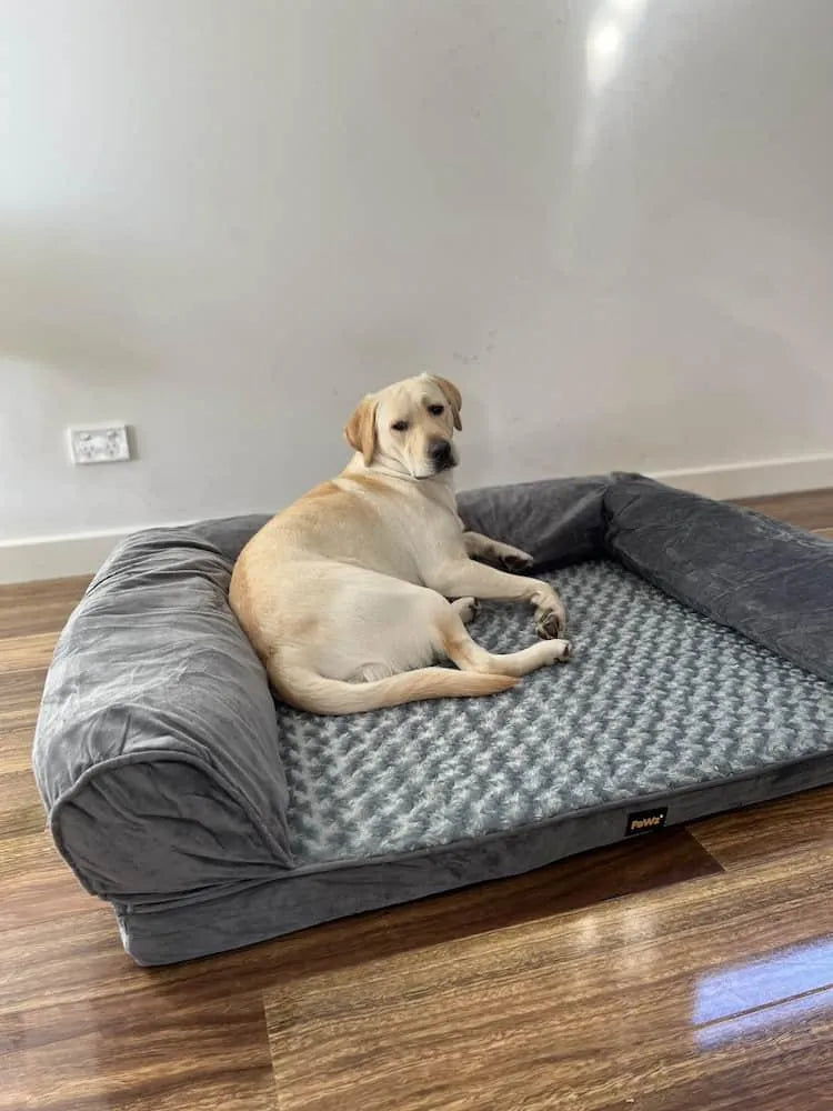 Pet Sofa Bed