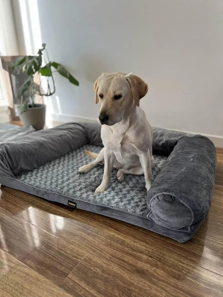 Pet Sofa Bed