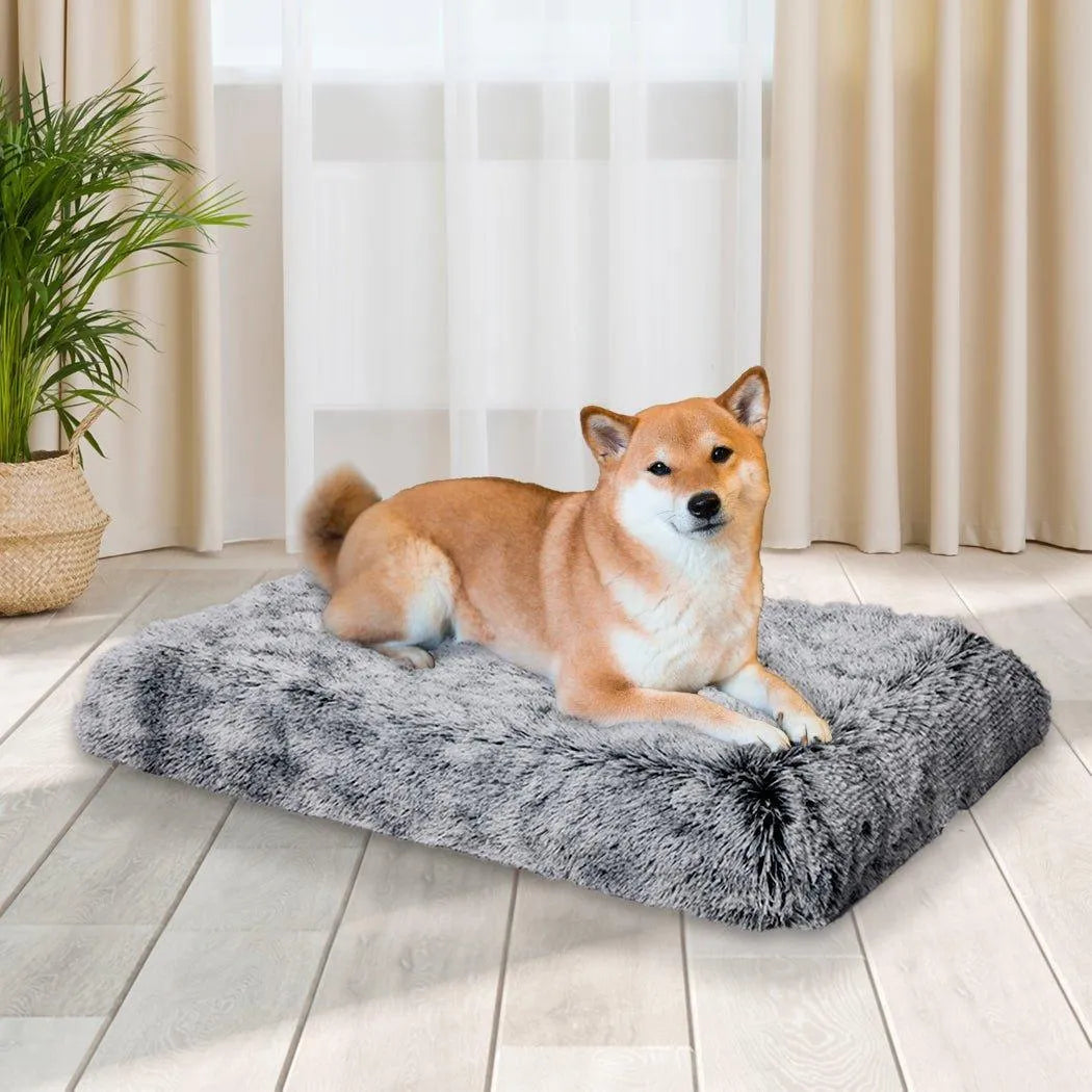 Premium SuperMat Calming Bed