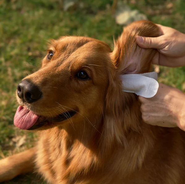 Dog Ear Cleaning Finger Wipes — Wax & Odor