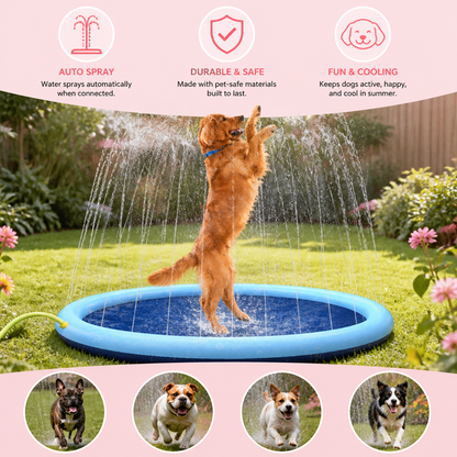 Dog Fountain - Summer Toy