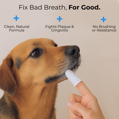 Dental Finger Wipes for Dogs & Cats — Fresh Breath