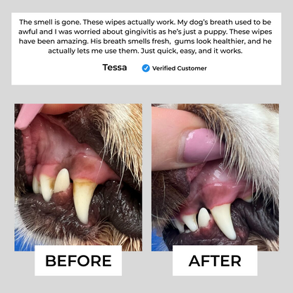 Dental Finger Wipes for Dogs & Cats — Fresh Breath