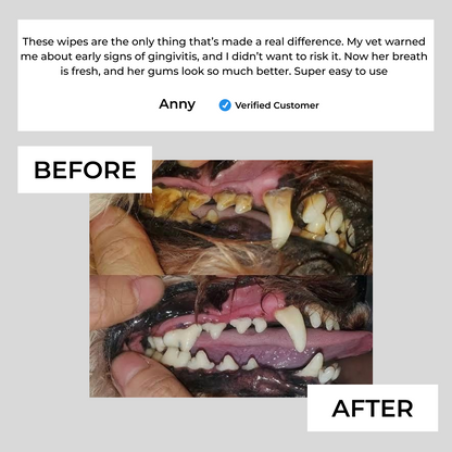 Dental Finger Wipes for Dogs & Cats — Fresh Breath