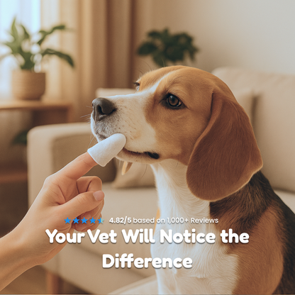 Dental Finger Wipes for Dogs & Cats — Fresh Breath
