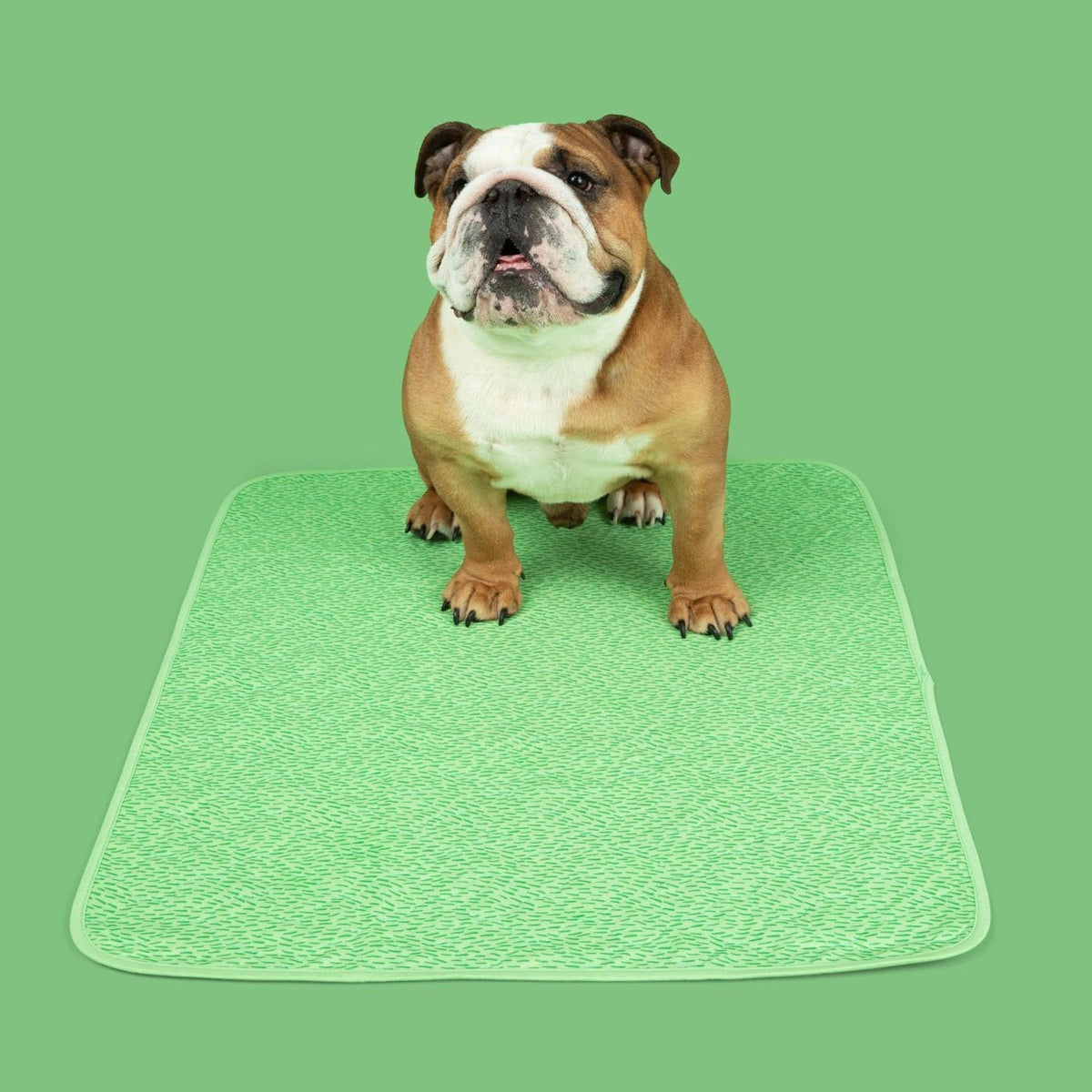 Washable Dog Pee Pads — Reusable, Leak-Proof