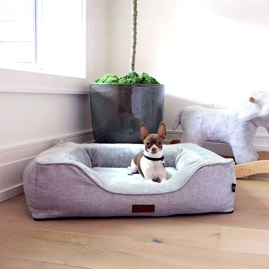 Premium Orthopedic Bolstered Dog Bed – Ultra-Comfort Support