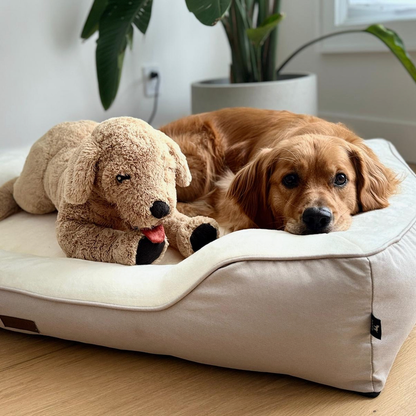 Premium Orthopedic Bolstered Dog Bed – Ultra-Comfort Support