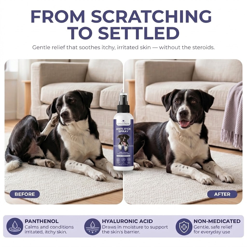 Dog Anti-Itch Spray — Dry & Itchy Skin