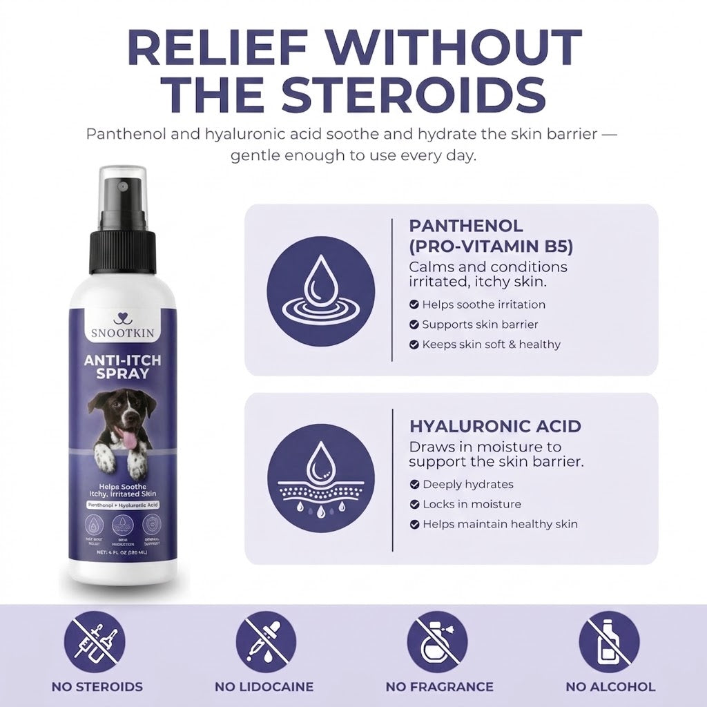 Dog Anti-Itch Spray — Dry & Itchy Skin
