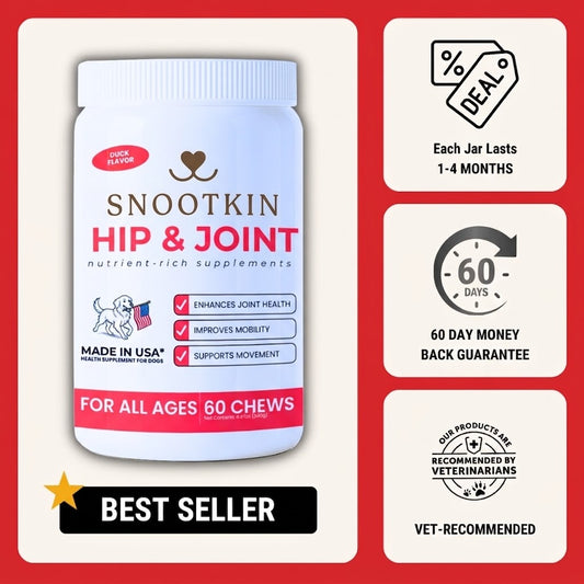Hip & Joint Chews for Dogs — Mobility Support