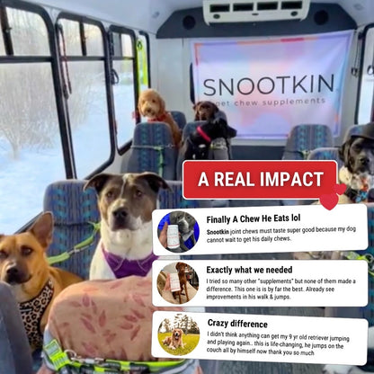 Hip & Joint Chews for Dogs — Mobility Support