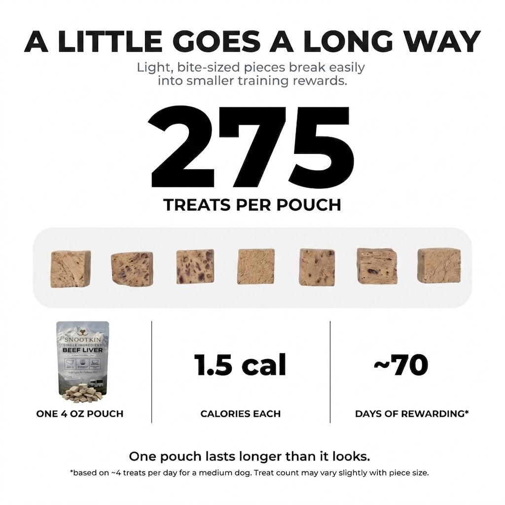 Freeze-Dried Beef Liver Dog Treats — Training