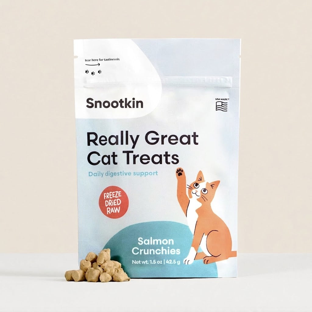 Freeze-Dried Salmon Cat Treats — Single Ingredien