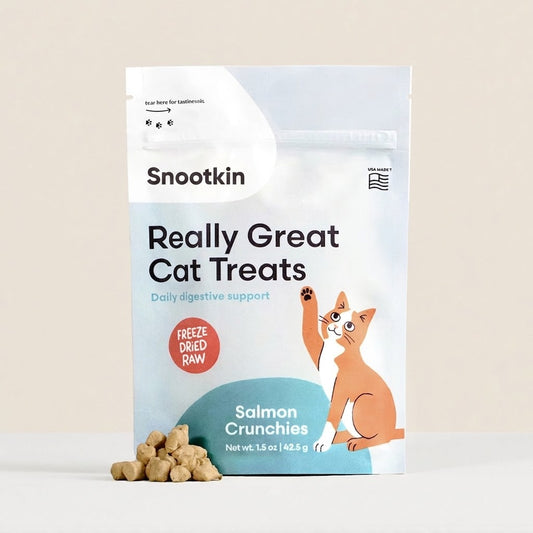 Freeze-Dried Salmon Cat Treats — Single Ingredien