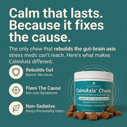 Calming Chews for Dogs — Gut-Brain, Anxiety Support