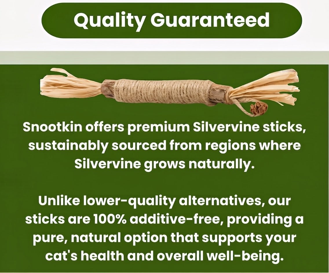 Silvervine Dental Sticks for Cats — Teeth & Play