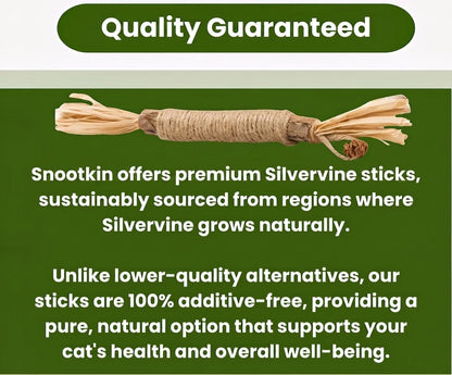 Silvervine Dental Sticks for Cats — Teeth & Play
