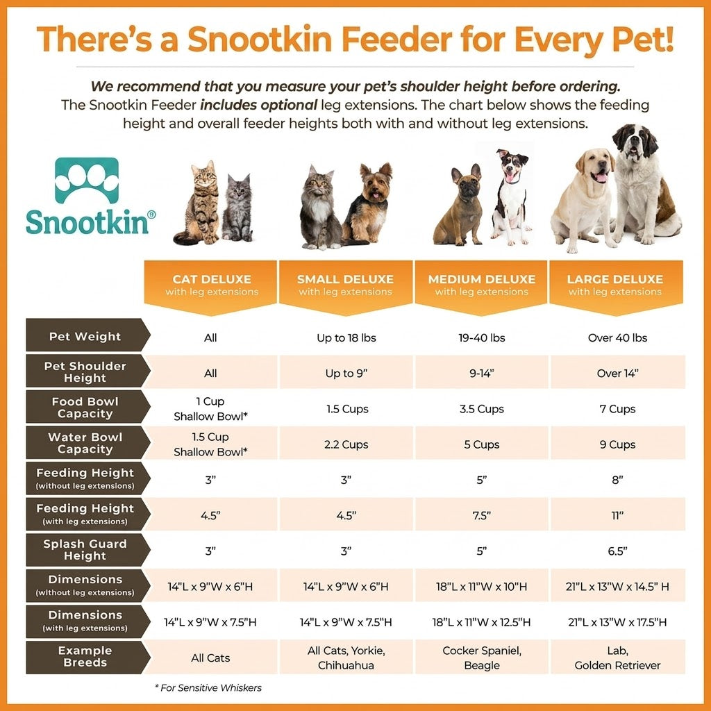 Elevated Mess-Proof Pet Feeder — Raised Double Bowl Station