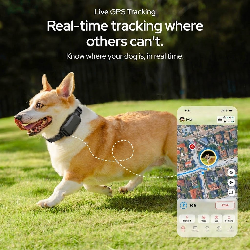 Smart GPS Dog Collar — Live Tracking, No Fees