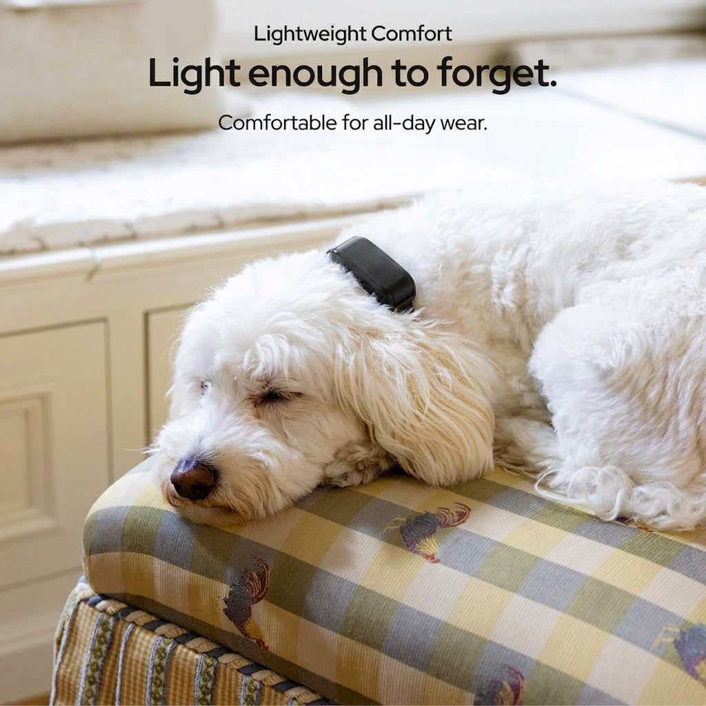 Smart GPS Dog Collar — Live Tracking, No Fees