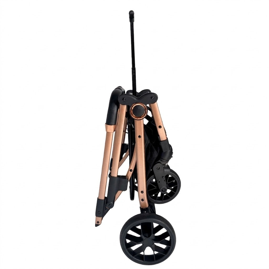 Cat Stroller — Waterproof Bed, Convertible Bassine