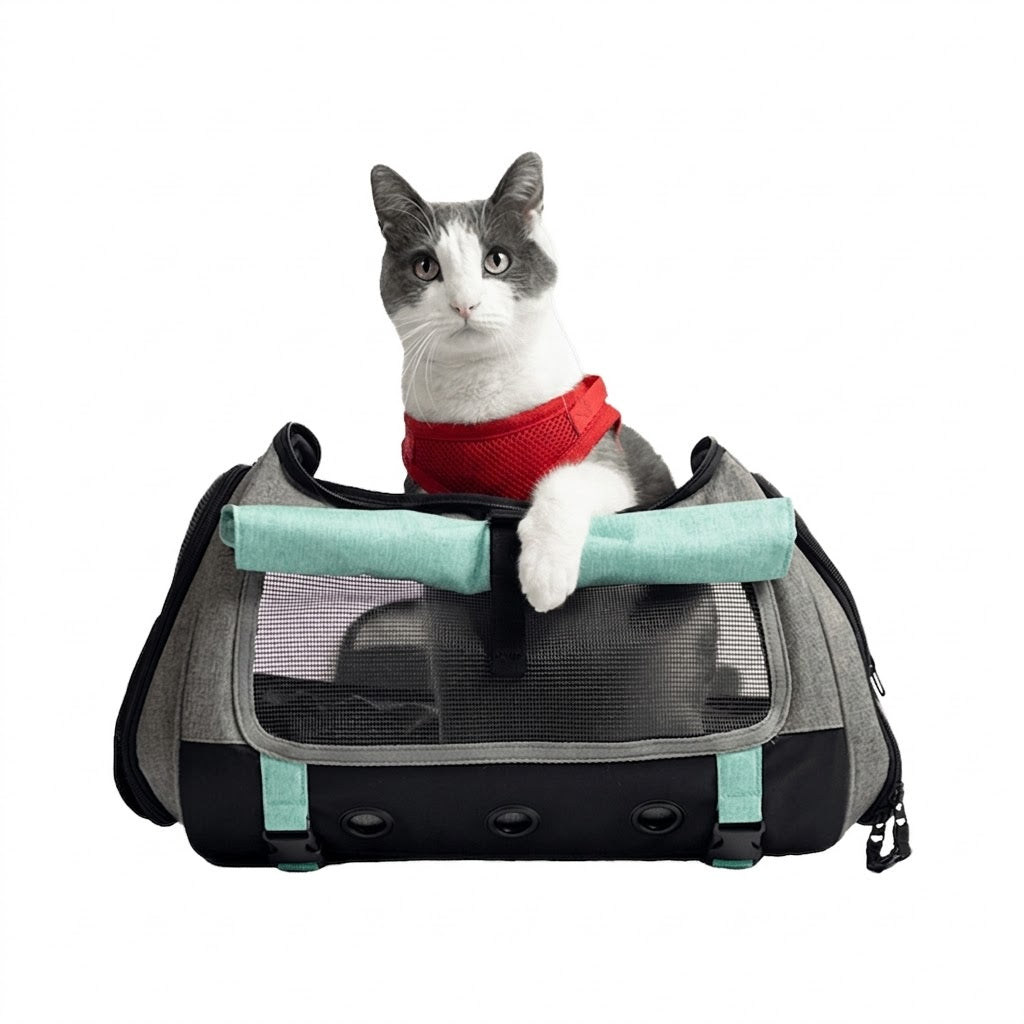 Calming Cat Carrier — Convertible, Slide-Out Bed