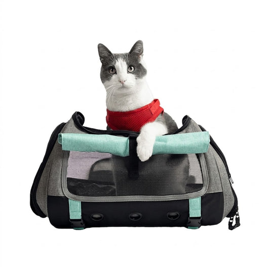 Calming Cat Carrier — Convertible, Slide-Out Bed