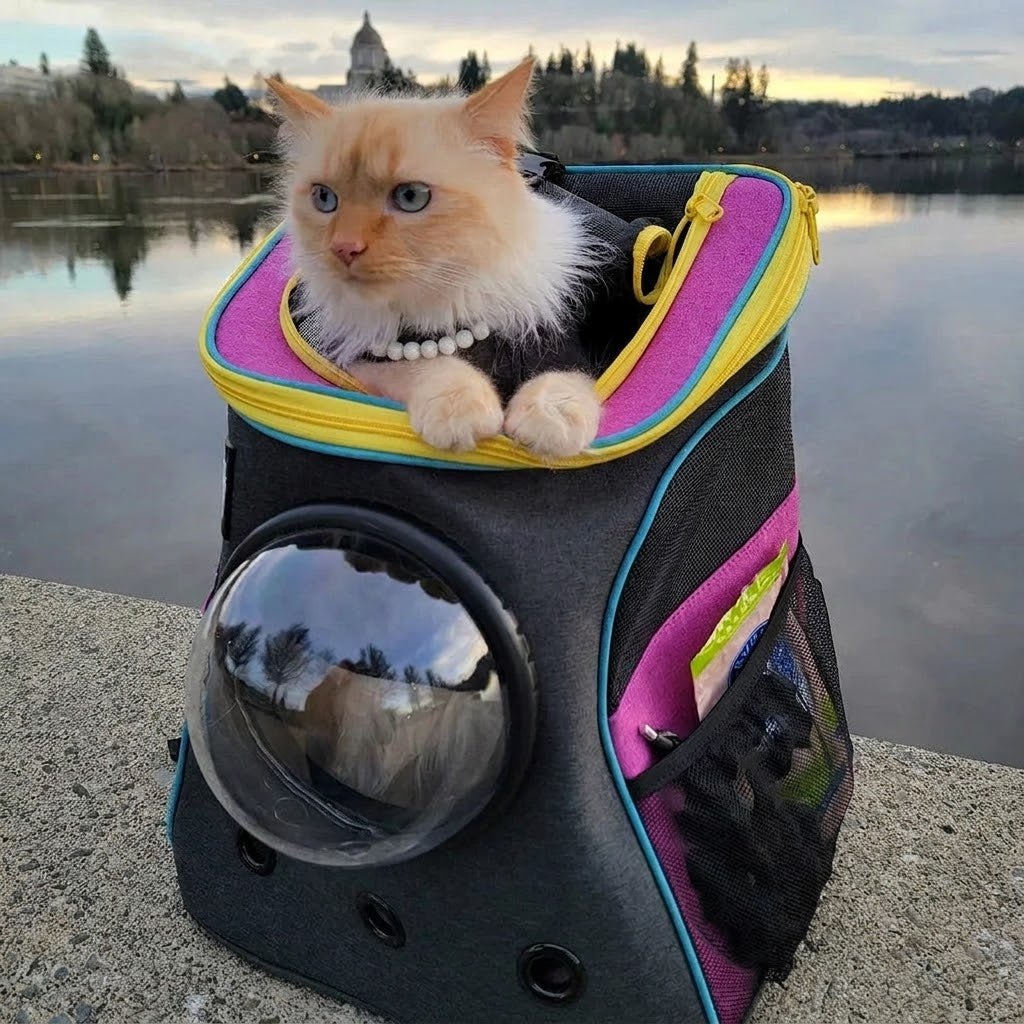 Bubble Cat Backpack — Ventilated, Holds 25 lb