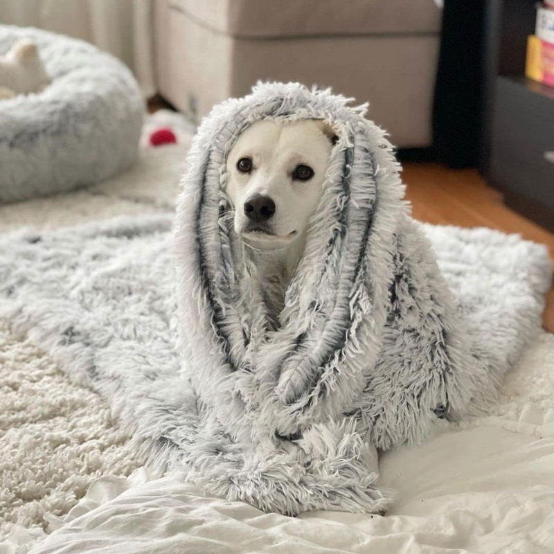 Calming Dog Blanket — Soft Faux Fur, Anti-Anxiety