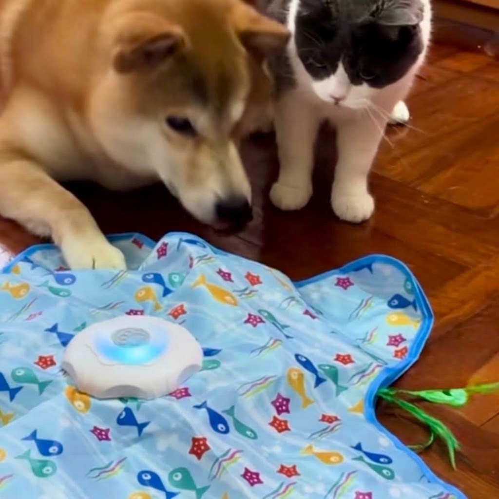 Interactive Cat & Dog Toy — Moving Feather Teaser