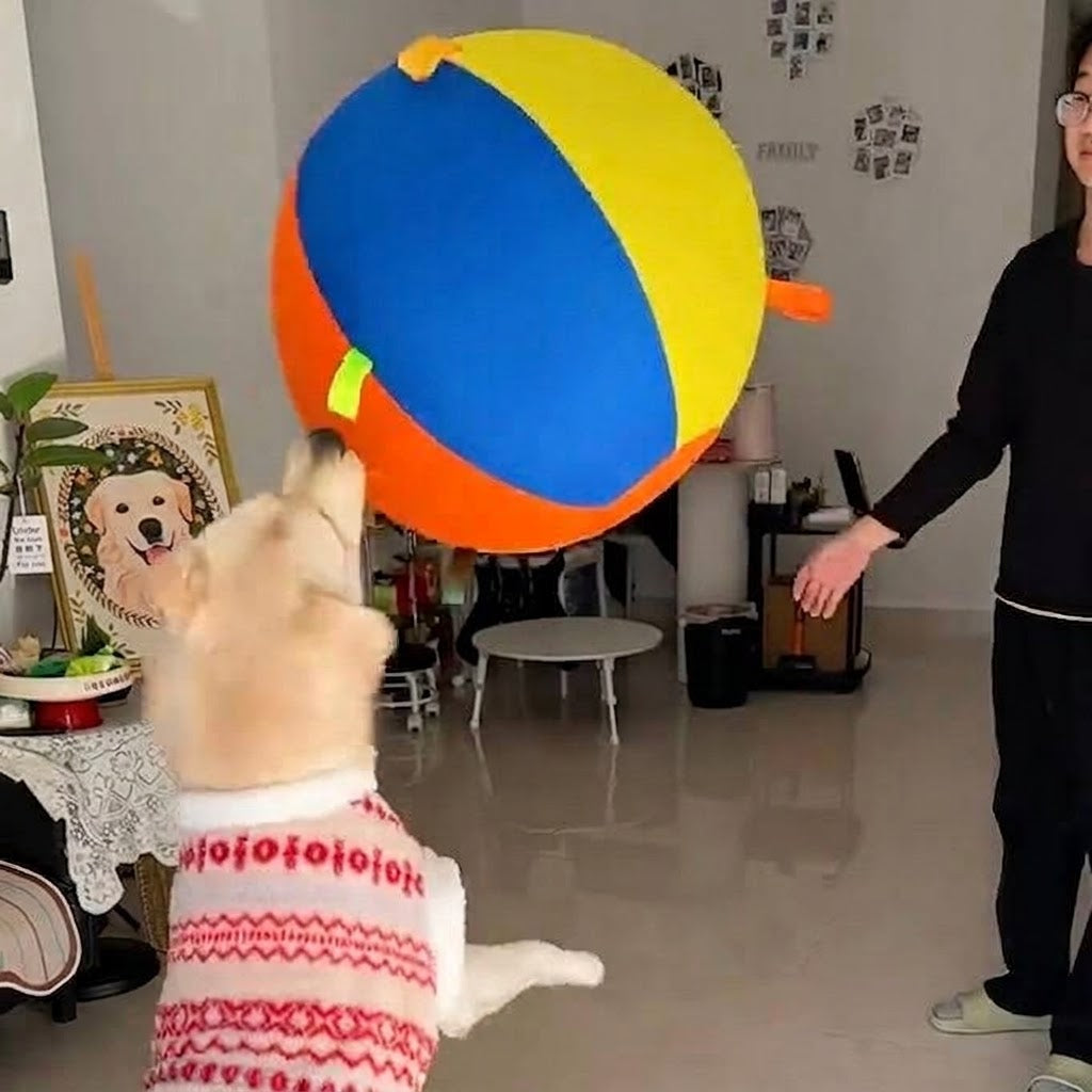 Jumbo Herding Ball for Dogs — Active Play